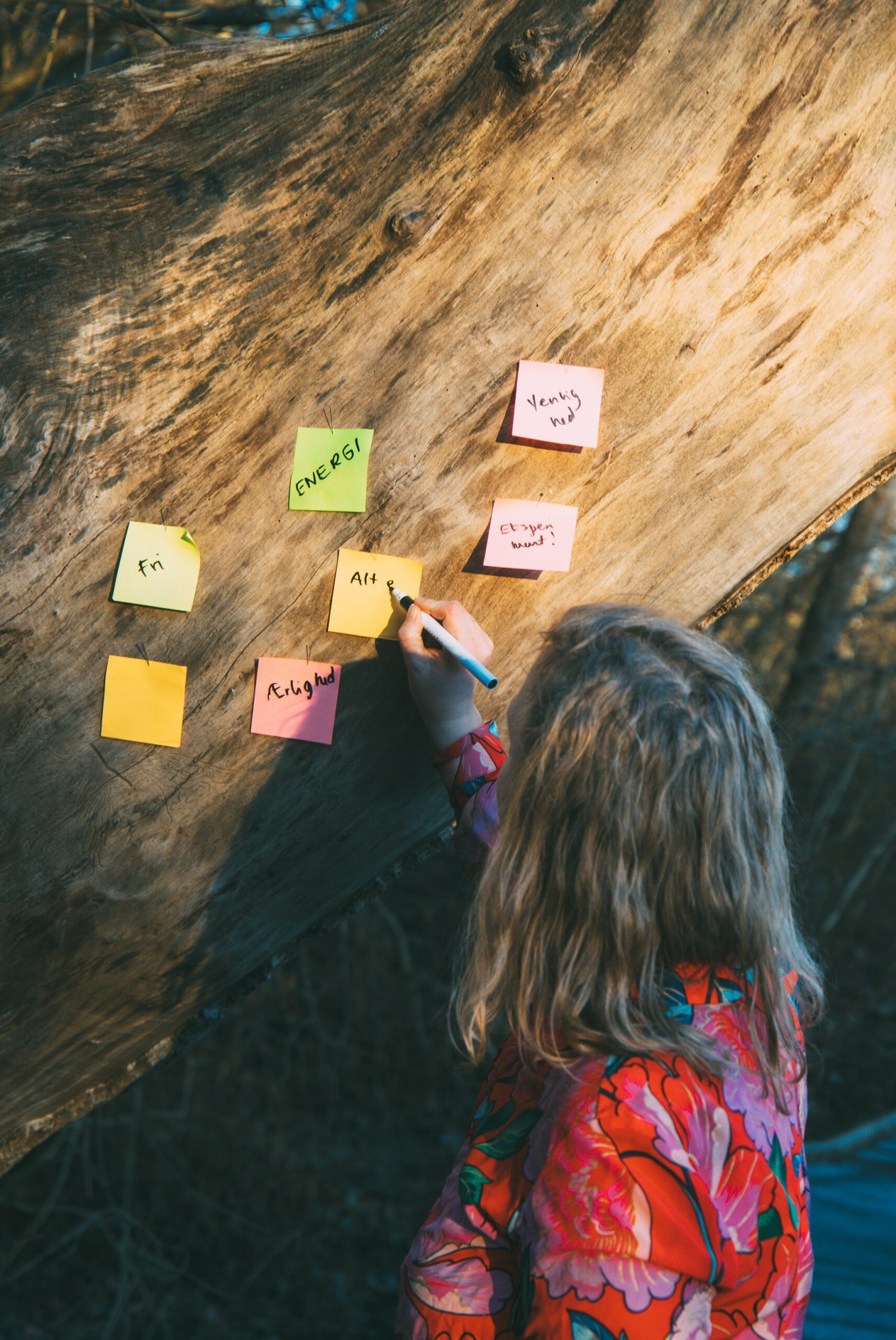 ProjektLaboratoriet Malene Skaadegaard Larsen